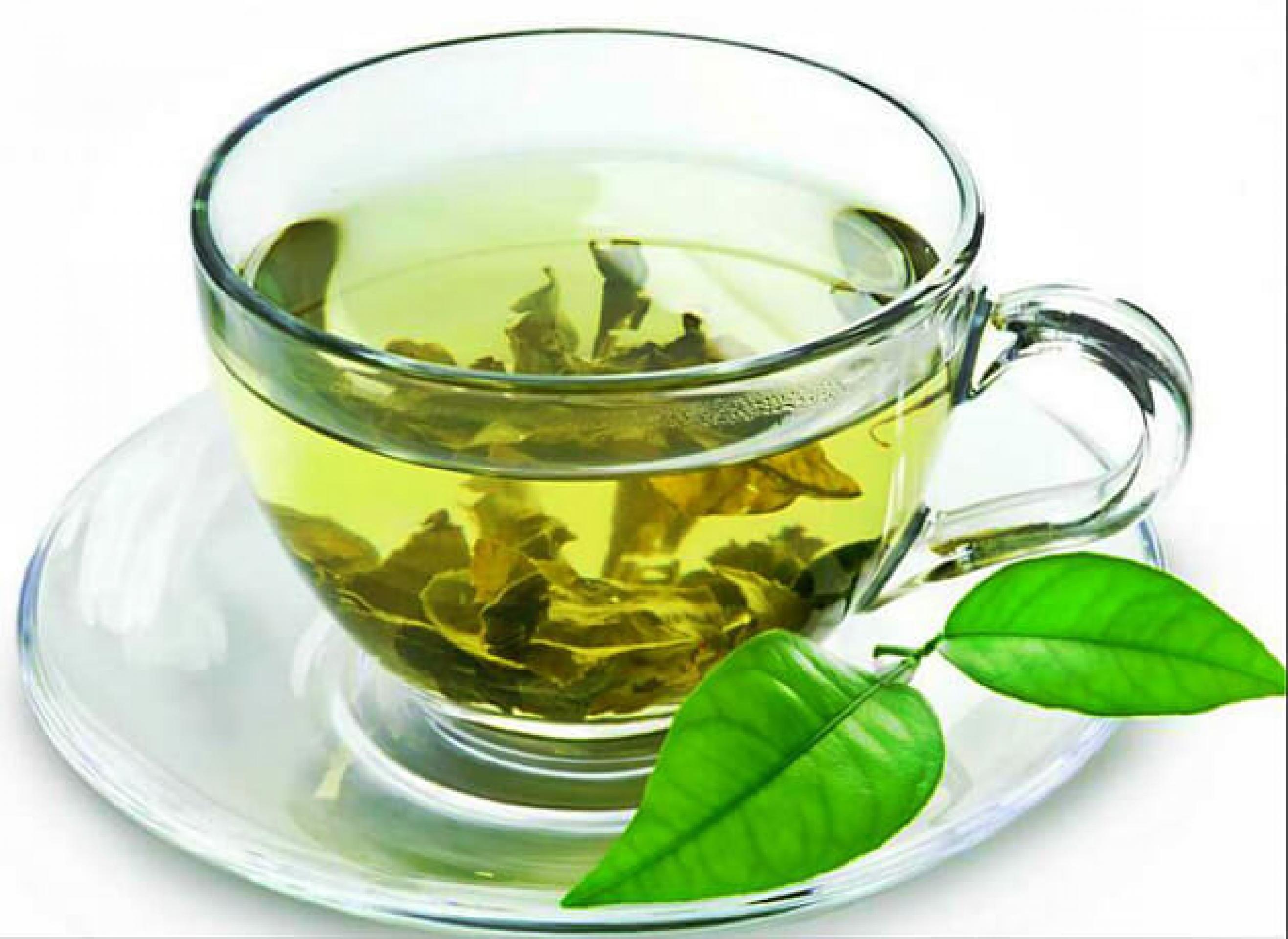 Изучаем полезные свойства зеленого чая