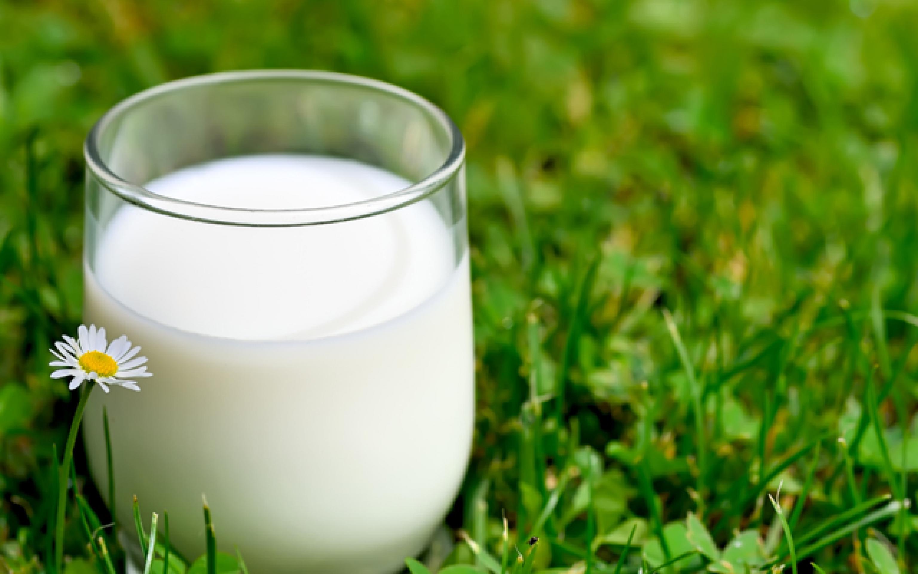 Самые полезные и самые вредные молочные продукты